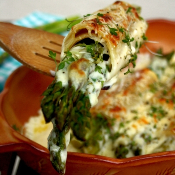 Überbackene Spargelcannelloni – allerezepte